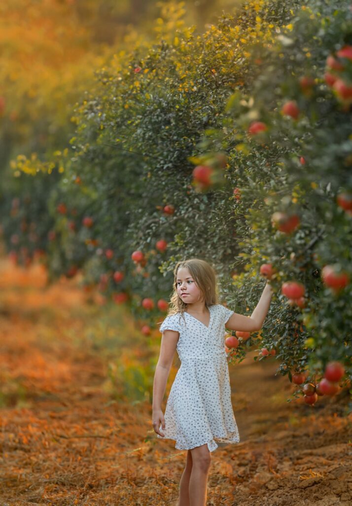 צילום אומנותי