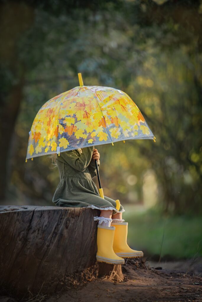 צילום אומנותי