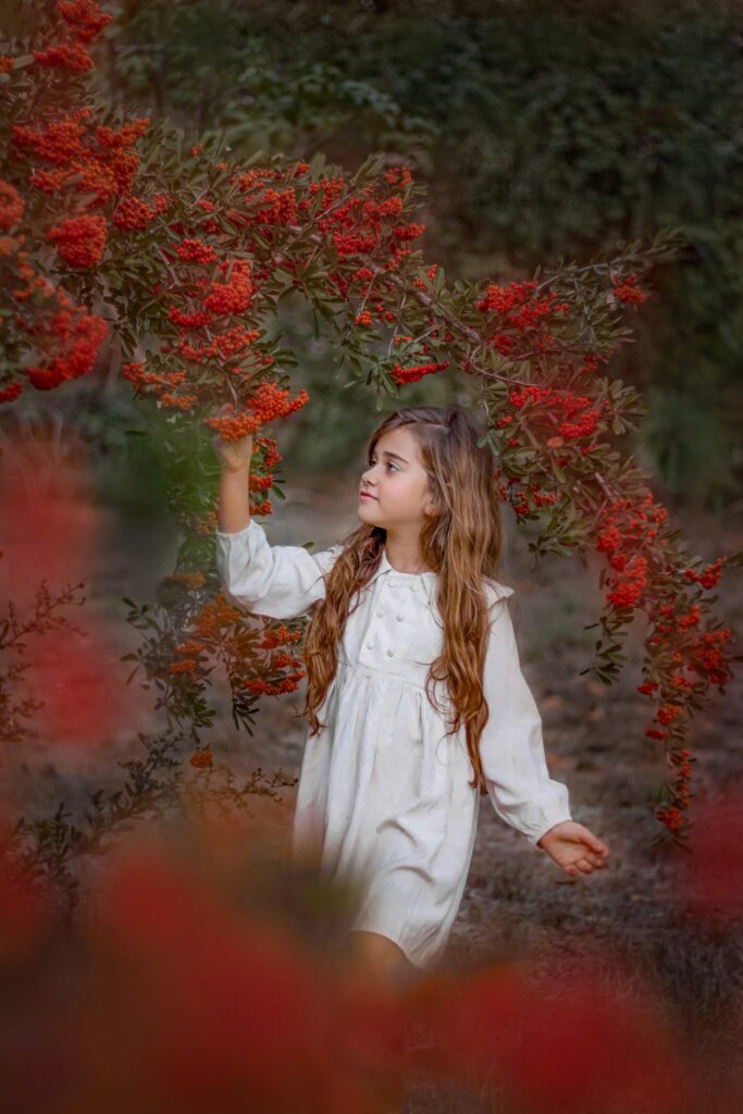 צילום אומנותי