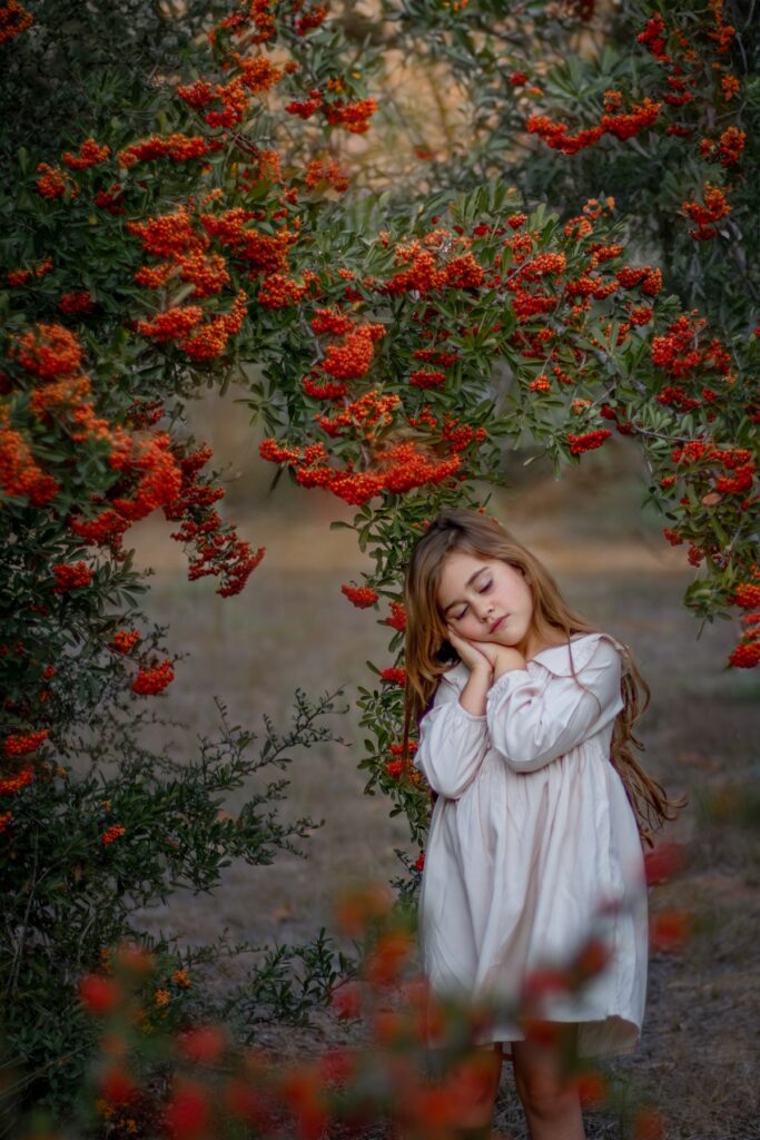 צילום אומנותי